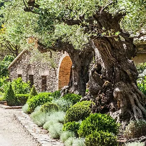 domaine-les-mesanges.fr-provencehotel.com/